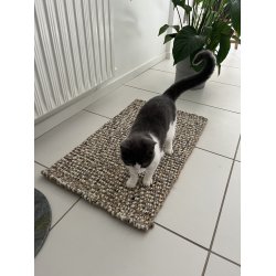 Jute tppe af jute og uld, et dekorativt og slidstrkt tppe - fs i flere strrelser.