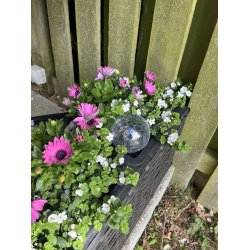 Hanne plantekasse med 3 skjulere i sort flet