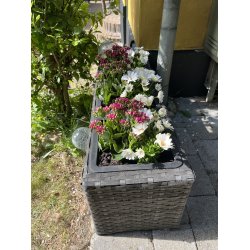 Hanne plantekasse med 3 skjulere i sort flet