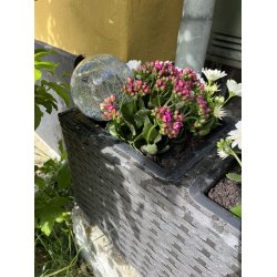 Hanne plantekasse med 3 skjulere i sort flet