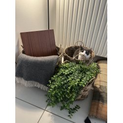 Kurv med hank st af 3. PERFEKTE OPBEVARINGSKURVE I FORSKELLIGE STRRELSER!!