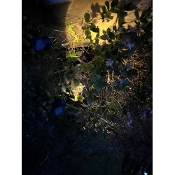 4 stk. Solcelle bedlygte i sort plast, 13x8,5x27 cm.