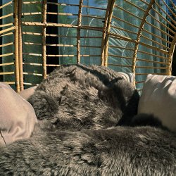 �kta lammskinn till soffa eller f�t�lj - 60 x 90 - v�lj f�rg