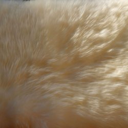 �gte Lammeskind s�de+ryg til sofa eller loungestol - 55 x 85 - v�lg farve