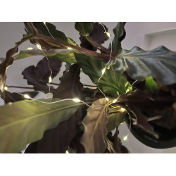 LED lavenergi lyskde mikro med rund batteriboks til indendrs brug