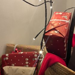 Hngepil p Spyd - Smuk og Magisk Belysning til Din Have