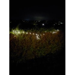 LED lavenergi lyskde der blinker i takt med musikken med batteriboks - Vlge lys farve