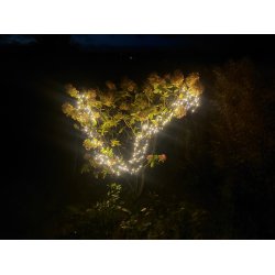 Lavenergi LED lys-klyngekde perfekt til ind-og udendrs brug - vlg lngde og LED antal