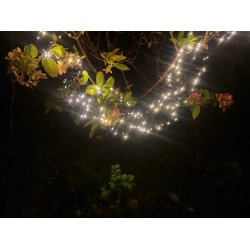 Lavenergi LED lys-klyngekde perfekt til ind-og udendrs brug - vlg lngde og LED antal