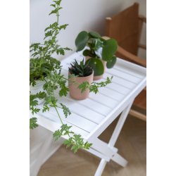 Brickbord hgblank vitmlad