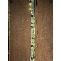 Lyskde med kogler og svampe m. timer - 160 cm