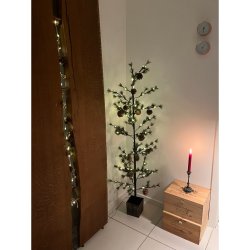 Lyskde med kogler og svampe m. timer - 160 cm