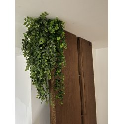 Grn Hngeplante - Plast BRING NATUREN INDENFOR!!  - Vlg Strrelse
