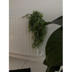 Grn Hngeplante - Plast BRING NATUREN INDENFOR!!  - Vlg Strrelse