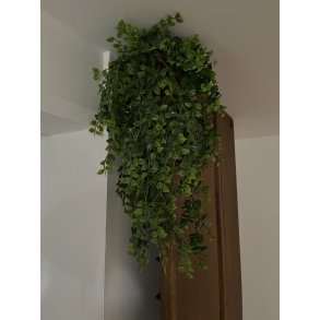 Grn Hngeplante - Plast BRING NATUREN INDENFOR!!  - Vlg Strrelse
