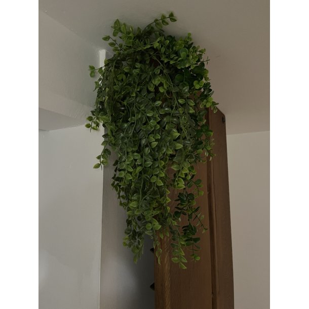 Grn Hngeplante - Plast BRING NATUREN INDENFOR!!  - Vlg Strrelse