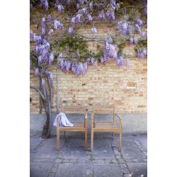 Teaktr�s stabelstol med arml�n - model: Oxford