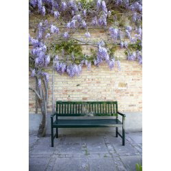 Brighton Bench - Grn