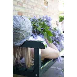 Brighton Bench - Grn