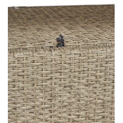 Elisa sofast med hjde indstillelig bord, sofa og 2 stole. Natur polyratttan