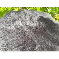 gte lammeskind fra new Zealand - diameter: 34 cm. - vlg farve: