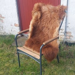 Lammskinn Island - l�ngh�rig - V�lj mellan Naturbrun eller Naturvit