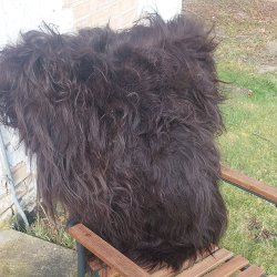 Lammskinn Island - l�ngh�rig - V�lj mellan Naturbrun eller Naturvit