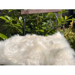 Lammeskind Akryl Sdehynde - 40 x 40 cm - vlg farve