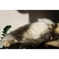 Lammskinn Akryl Sittdyna - 60 x 90 cm - vlj frg