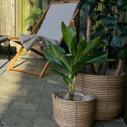 Luna Kurvest med 3 kurve - Hndflettet Naturlig Opbevaring