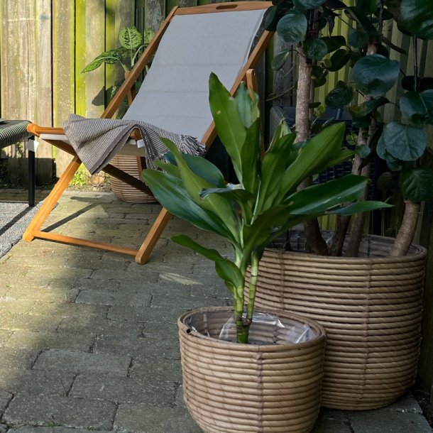 Luna Kurvest med 3 kurve - Hndflettet Naturlig Opbevaring Small: &Oslash;25CM x H20CM