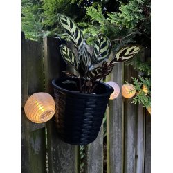 Praktisk og pyntelig urtepotte med bjle i sort vedligeholdelsesfrit polyrattan 16 cm