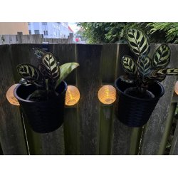 Praktisk og pyntelig urtepotte med bjle i sort vedligeholdelsesfrit polyrattan 16 cm