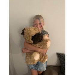 Kmpe bulldog bamse i brune nuancer - vlg strrelse