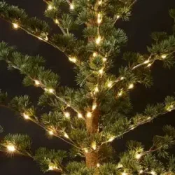 Cedertr� med LED lavenergi LED lys til indend�rs brug - V�lg st�rrelse