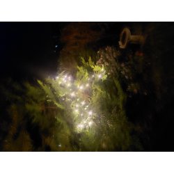 Lavenergi LED startkde proconnect lyskde med adapter - vlg strrelse og lysfarve