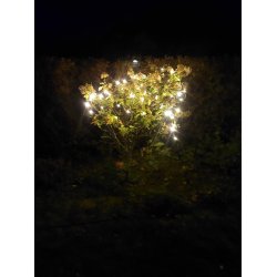 Lavenergi lysnet LED - 160 LED lys og 200cmx150cm. stort. Perfekt til juletiden