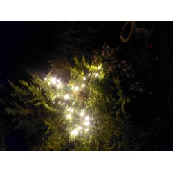 Lavenergi LED startkde proconnect lyskde med adapter - vlg strrelse og lysfarve