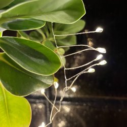 Sm lavenergi LED klynge lyskde med batteriboks - vlg strrelse - 1-3 meter