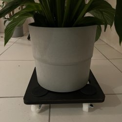 Solid og smagfuld plantevogn i sort finr 30x30 cm 4 hjul max 150 kg  