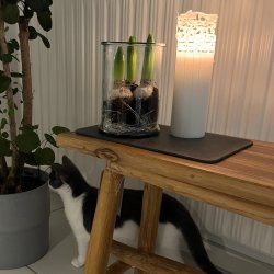 Elegant dekorationsbnk 120 cm - Naturlig Charme til Dit Hjem