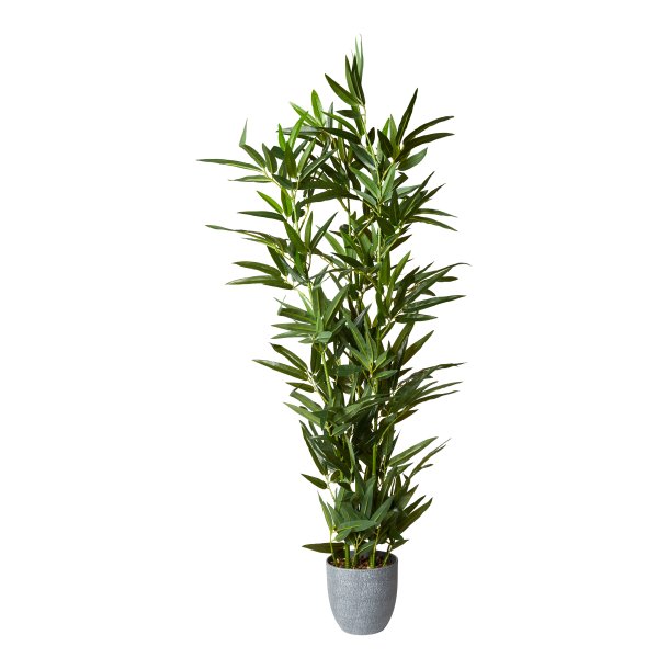 Bambusplante - Plast - GRNT TOUCH TIL DIT HJEM!! - Vlg Strrelse Lille - 80 cm