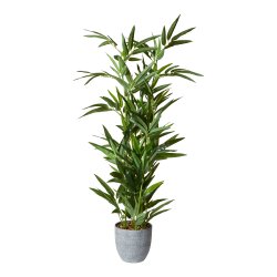 Bambusplante - Plast - GRNT TOUCH TIL DIT HJEM!! - Vlg Strrelse