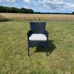 DC-DIANA SDE HYNDE OLEFIN CAPPUCINO