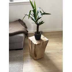 Skammel lavet af teak rod - Ubehandlet.  20 KG