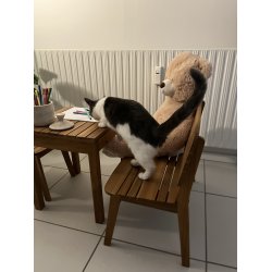 Brnebnk 2-personers bnk i akacie tr - Model: Tokyo