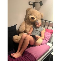 Brun kmpe bamse fra Dacore. BLD OG LKKER BAMSE!!