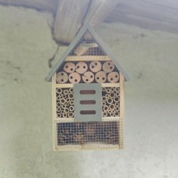 Forkl dine blomster med et bredygtigt insekthotel - vlg farve