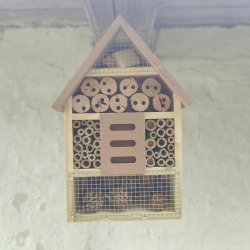 Forkl dine blomster med et bredygtigt insekthotel - vlg farve