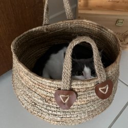 Kurvest med 3 kurve og hank - Rund i formen - H38/33/27,5 - Natur. KURVE TIL NEM OPBEVARING!! 